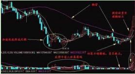 精准一肖100%准确精准的含义,精准一肖，揭秘百分之百准确预测的含义与奥秘