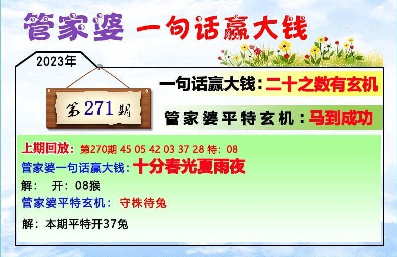 202管家婆一肖一吗,揭秘202管家婆一肖一码——探寻背后的真相