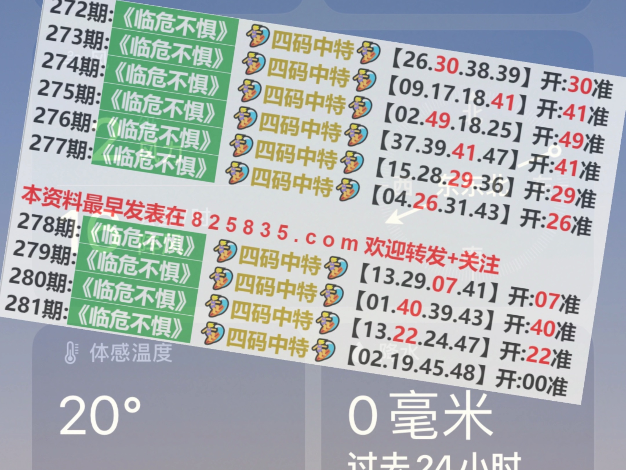 2024澳门特马今晚开奖56期的,澳门特马今晚开奖第56期的期待与探索