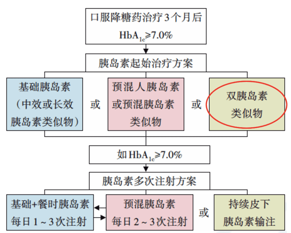 新澳门四不像凤凰版凤凰,新澳门四不像凤凰版凤凰，探索与解读