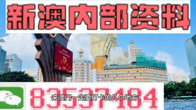 2024新澳门王中王正版,探索新澳门王中王正版在2024年的魅力与机遇