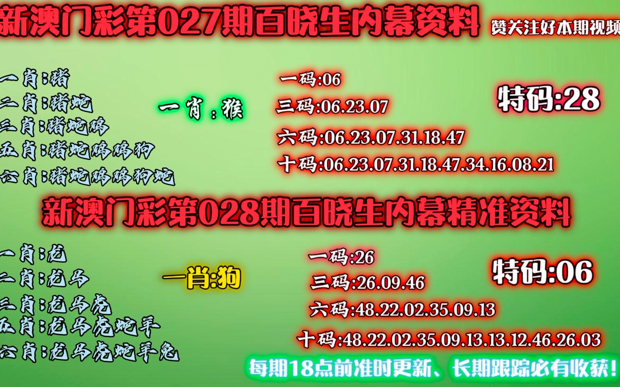 新澳门今晚精准一肖,新澳门今晚精准一肖——探索生肖预测的魅力与真相