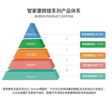 新澳门管家婆一句,新澳门管家婆一句，揭示背后的智慧与策略