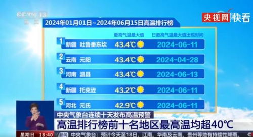 2025新奥历史开奖记录56期,探索新奥历史，2025年开奖记录第56期的独特魅力